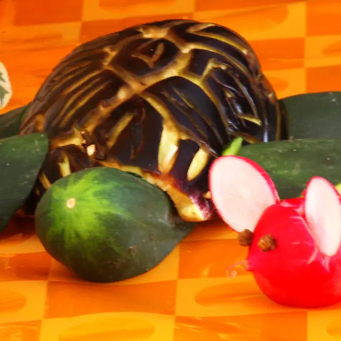 GIOCARE CON LE VERDURE…DA UNA MELANZANA….