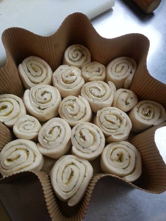 10884902_10204935353377164_57113632_n