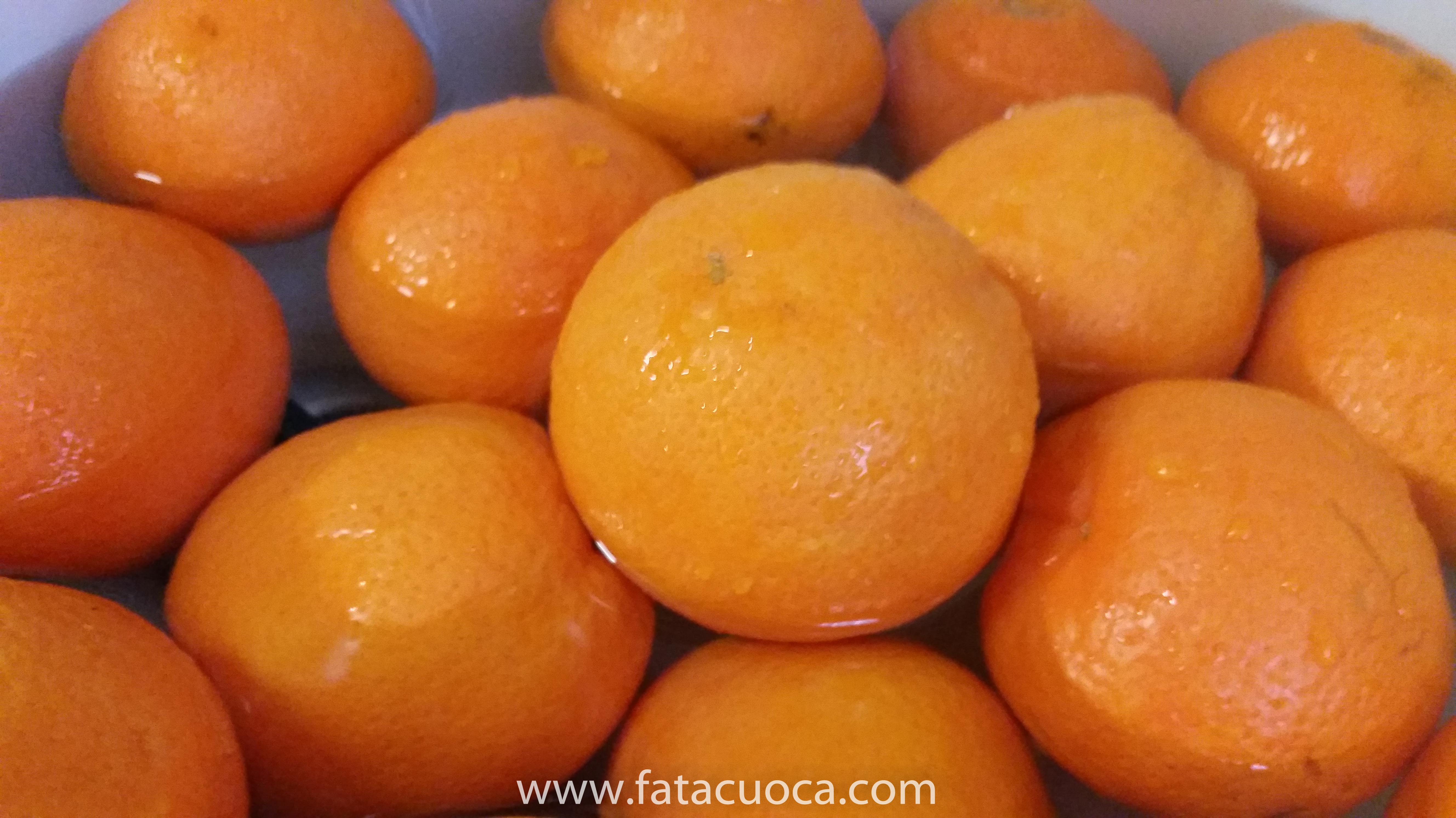 12022016-20160212_161814