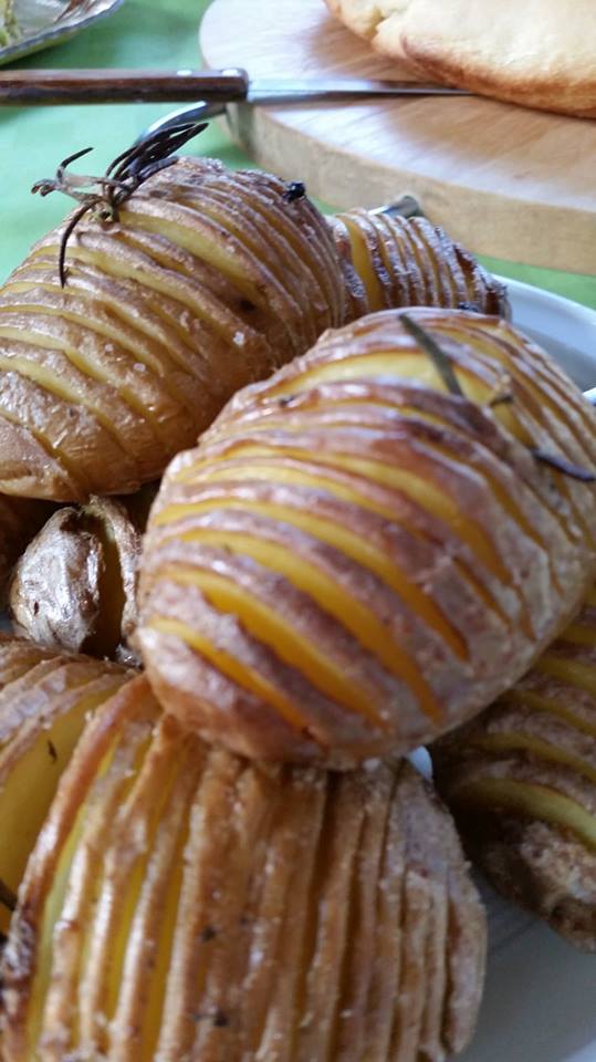 11850976_10206825032537962_1841608885_n