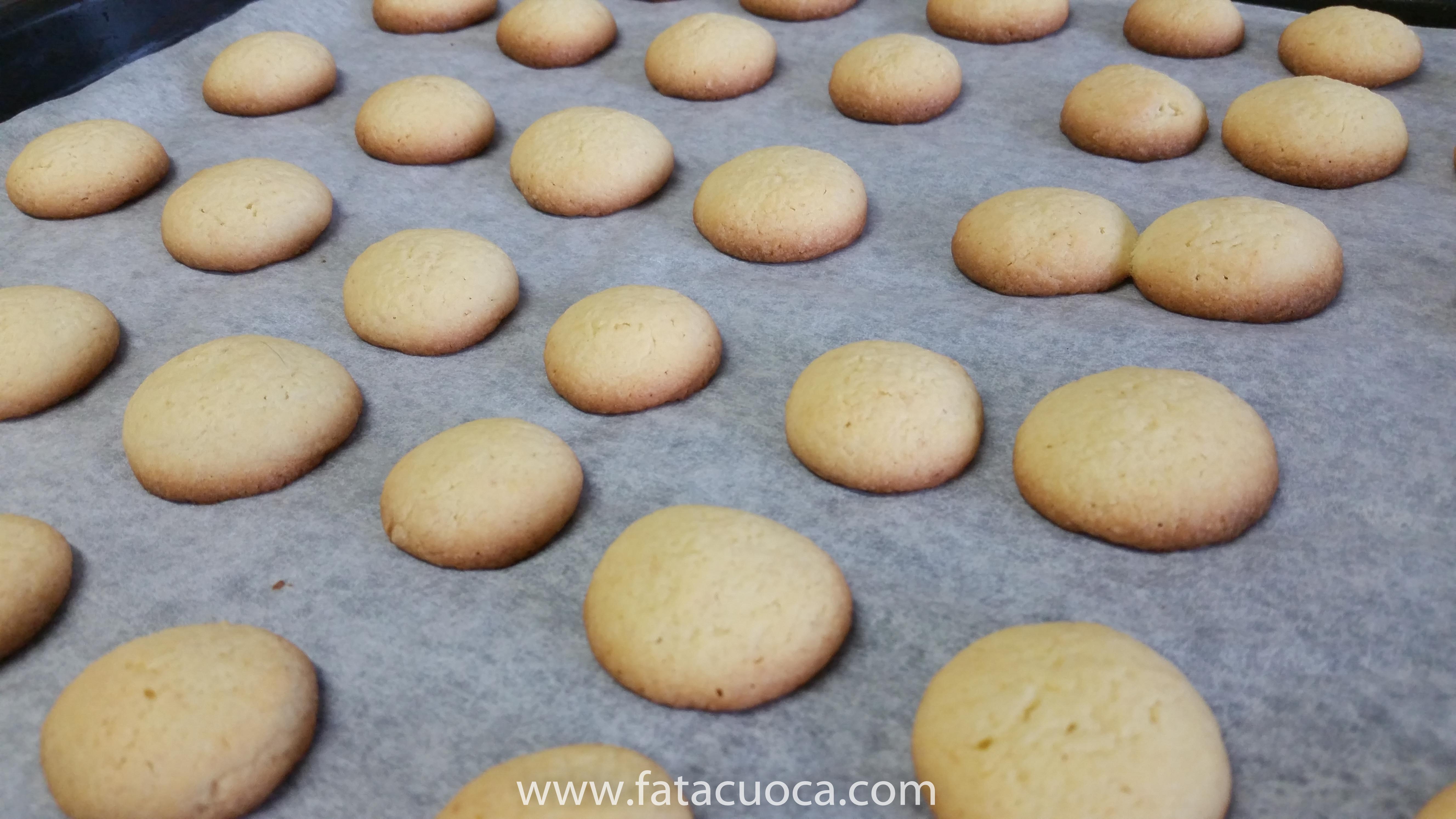 26112016-20161126_123143