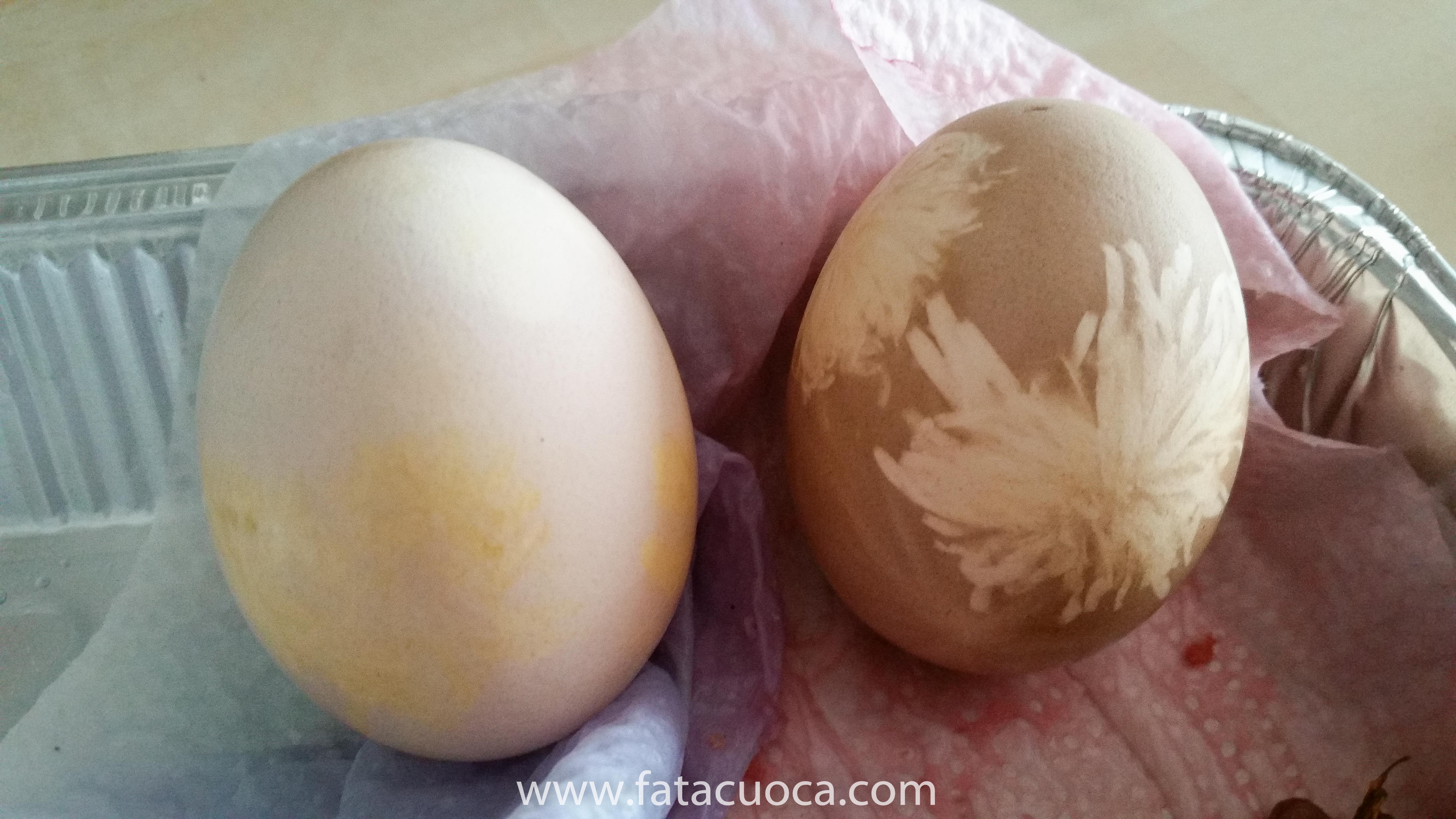 07042017-20170407_144306