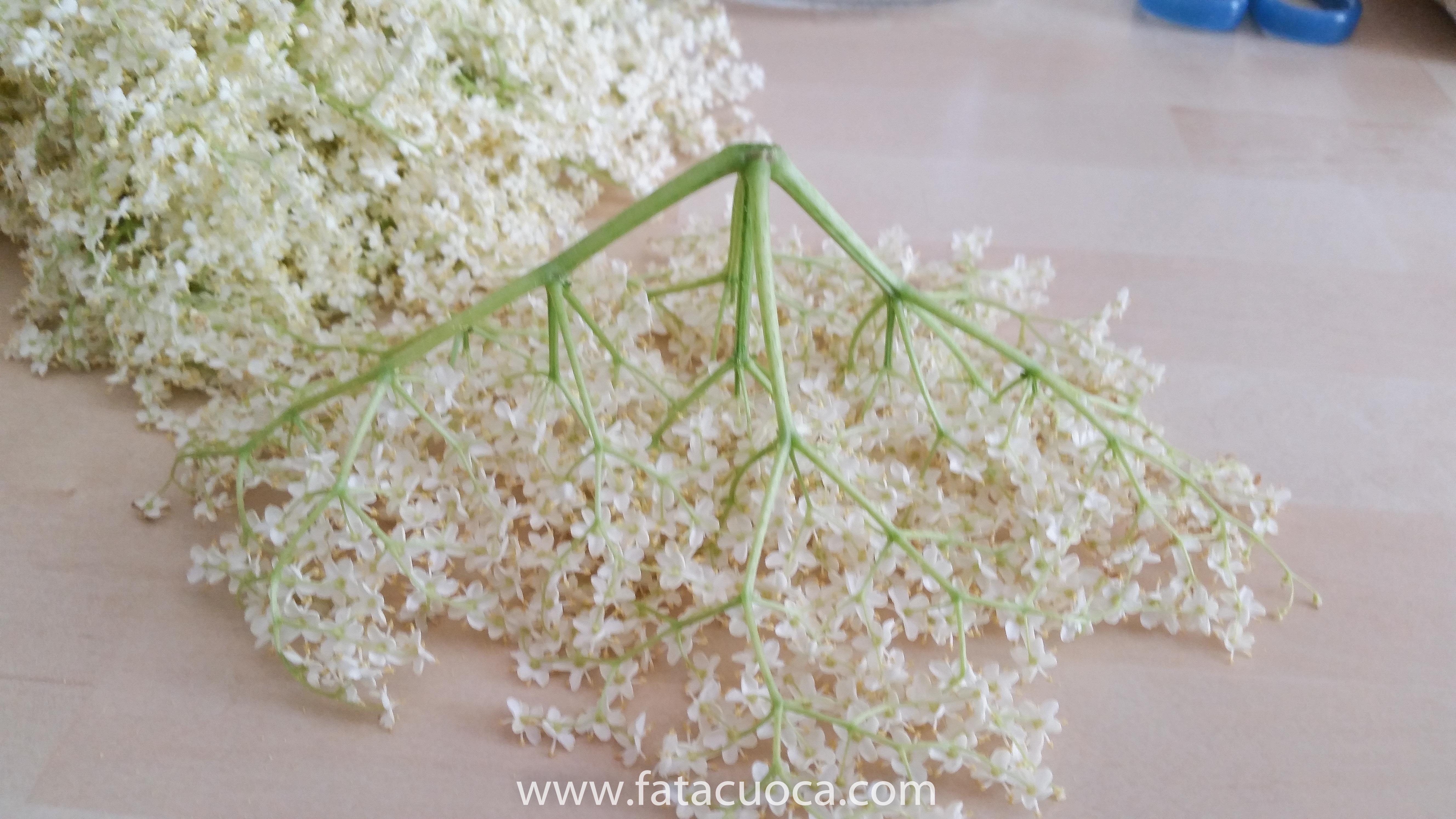 22042017-20170422_131222