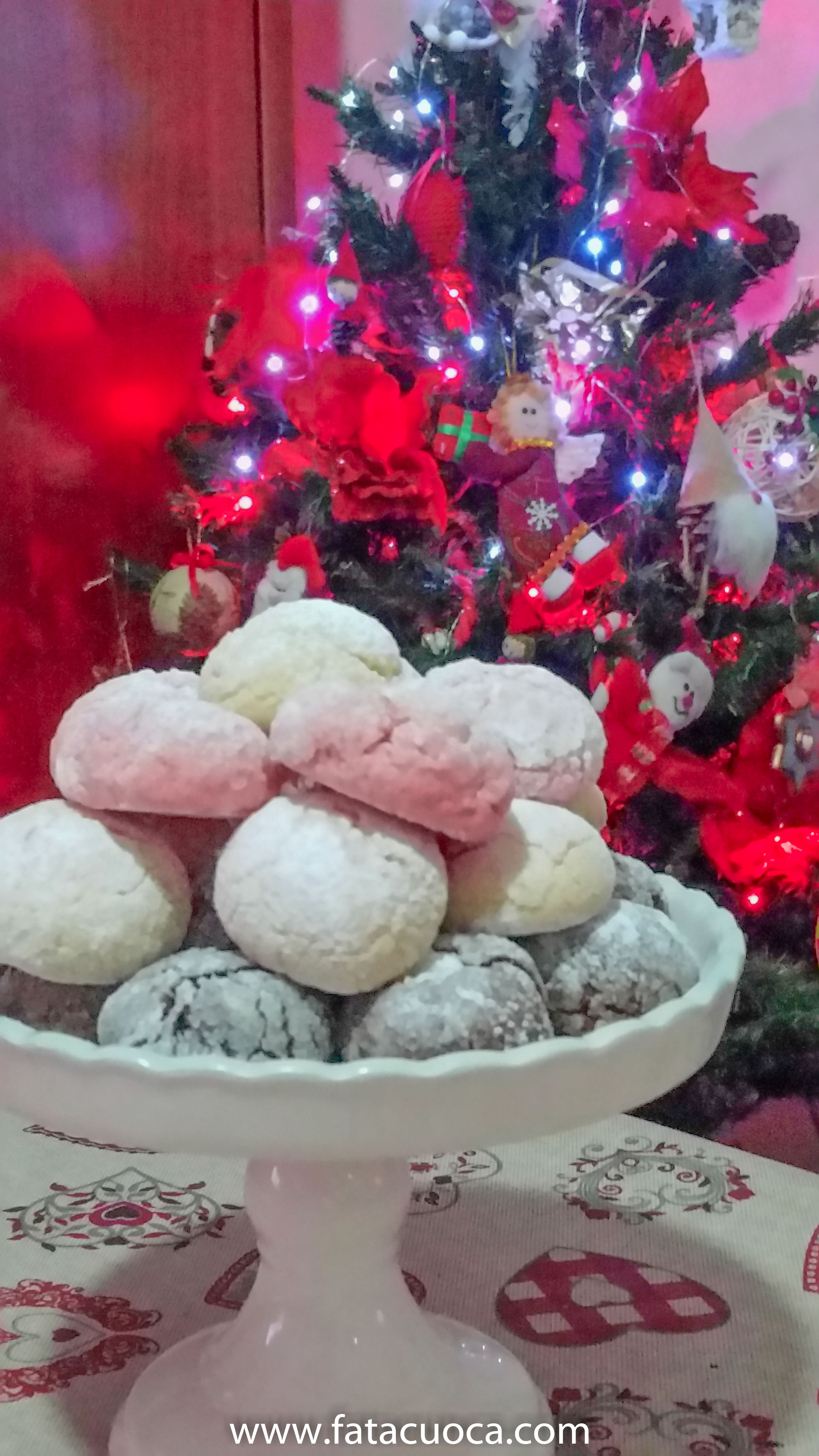 senza titolo (20 di 21)