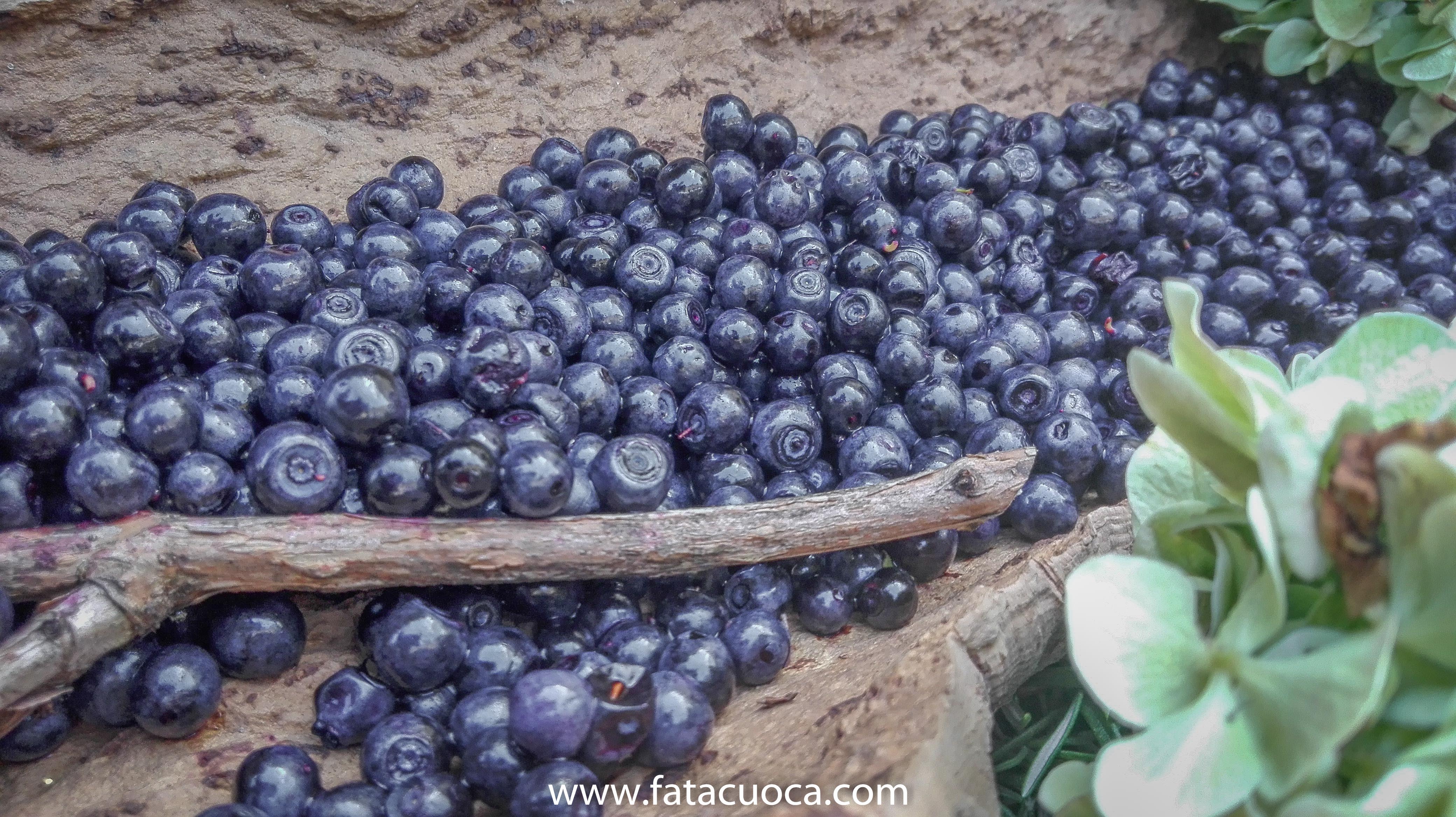 senza titolo (3 di 12)