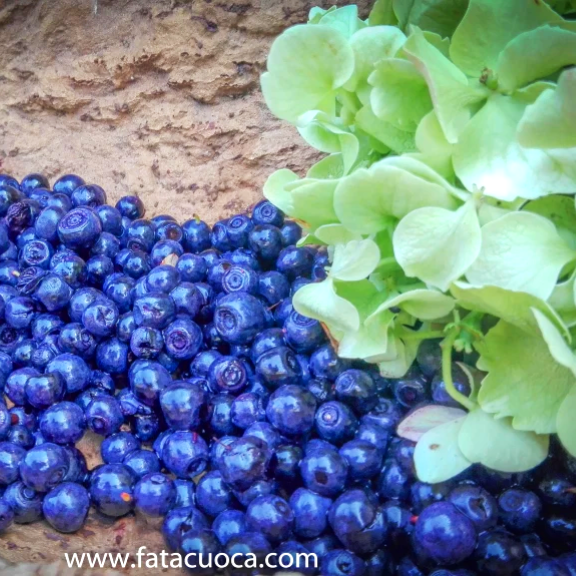 FANANO 2019 I PANINI GOURMET DI DANIELE&nbsp;REPONI