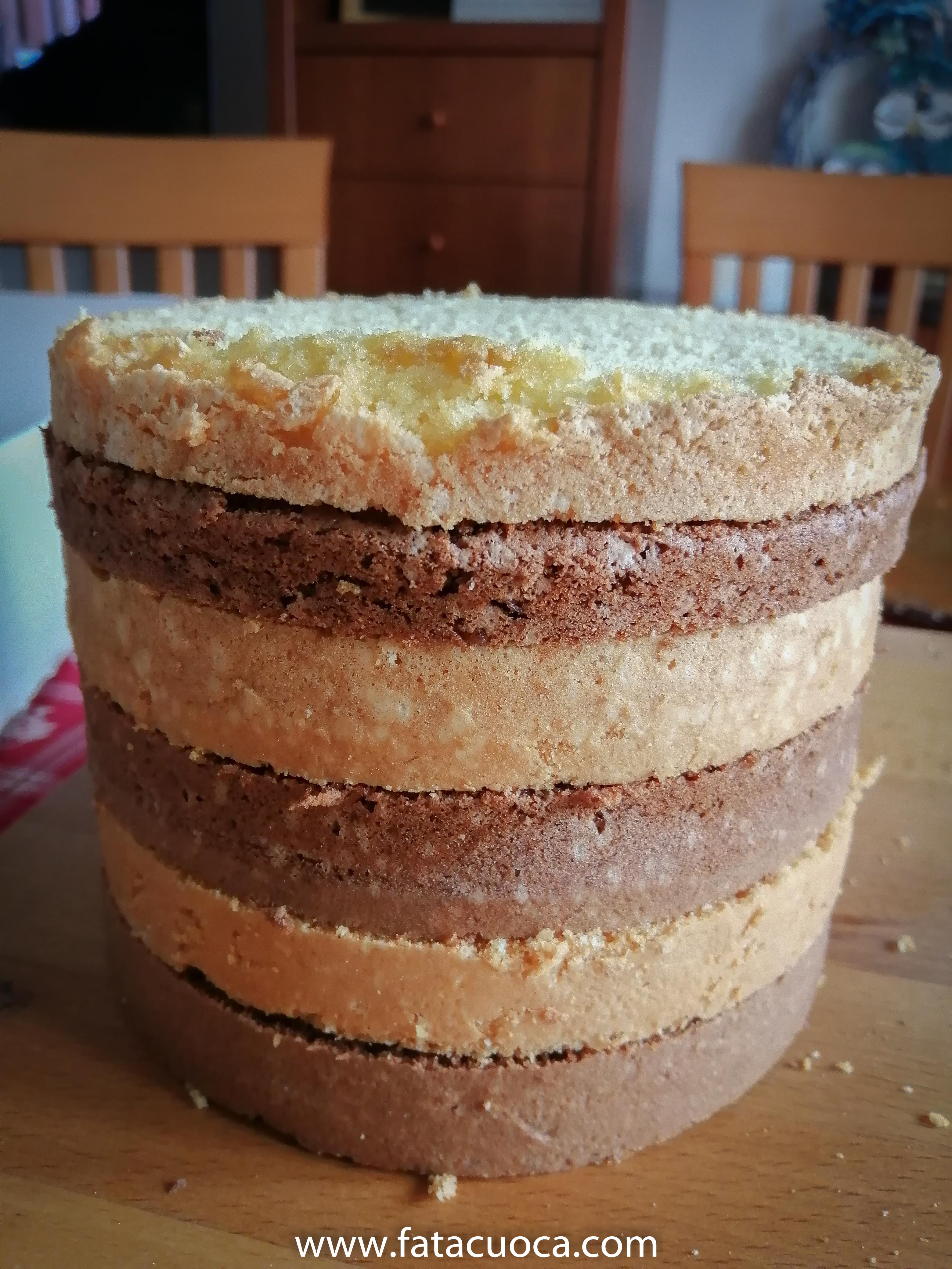 senza titolo (1 di 15)