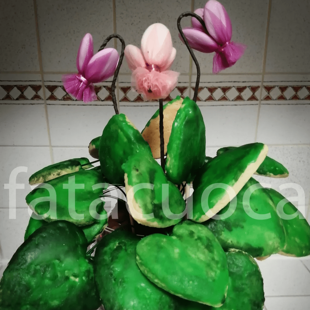 UN DOLCE VASO DI CICLAMINI  –                MOUSSE DI&nbsp;CIOCCOLATO