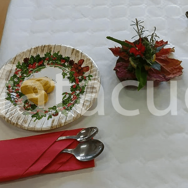 NATALE AL NIDO&nbsp;2020